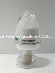 95% Tc Tribenuron Methyl สารกำจัดวัชพืชผง CAS No.101200-48-0
