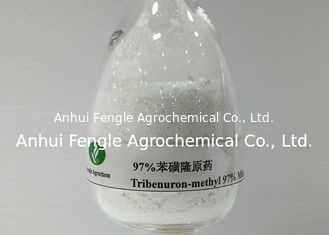 หมายเลข CAS 101200-48-0 สารกำจัดวัชพืช 95% TC Tribenuron-Methyl