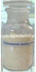 สารกำจัดวัชพืช Selective Tribenuron Methyl Herbicide 95% Tc เพื่อควบคุมวัชพืชใบกว้าง