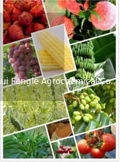 25057-89-0 สารเคมีกำจัดศัตรูพืชทางการเกษตร สารกำจัดวัชพืช Bentazone 95% TC