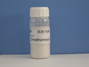 Dimethomorph 50% WP, สารฆ่าเชื้อรา, สารกำจัดศัตรูพืชเคมีเกษตร, CAS 110488-70-5, โรคราน้ำค้างของแตงกวา / ไม้ผล