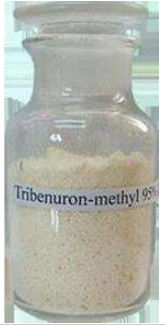 สารกำจัดวัชพืช Selective Tribenuron Methyl Herbicide 95% Tc เพื่อควบคุมวัชพืชใบกว้าง