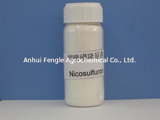 สารกำจัดวัชพืช Nicosulfuron 97% TC CAS No 111991-0904