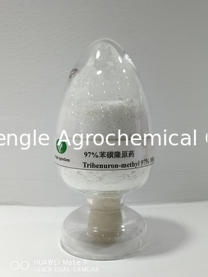 สารเคมีกำจัดศัตรูพืช Tribenuron-Methyl White power 97% TC
